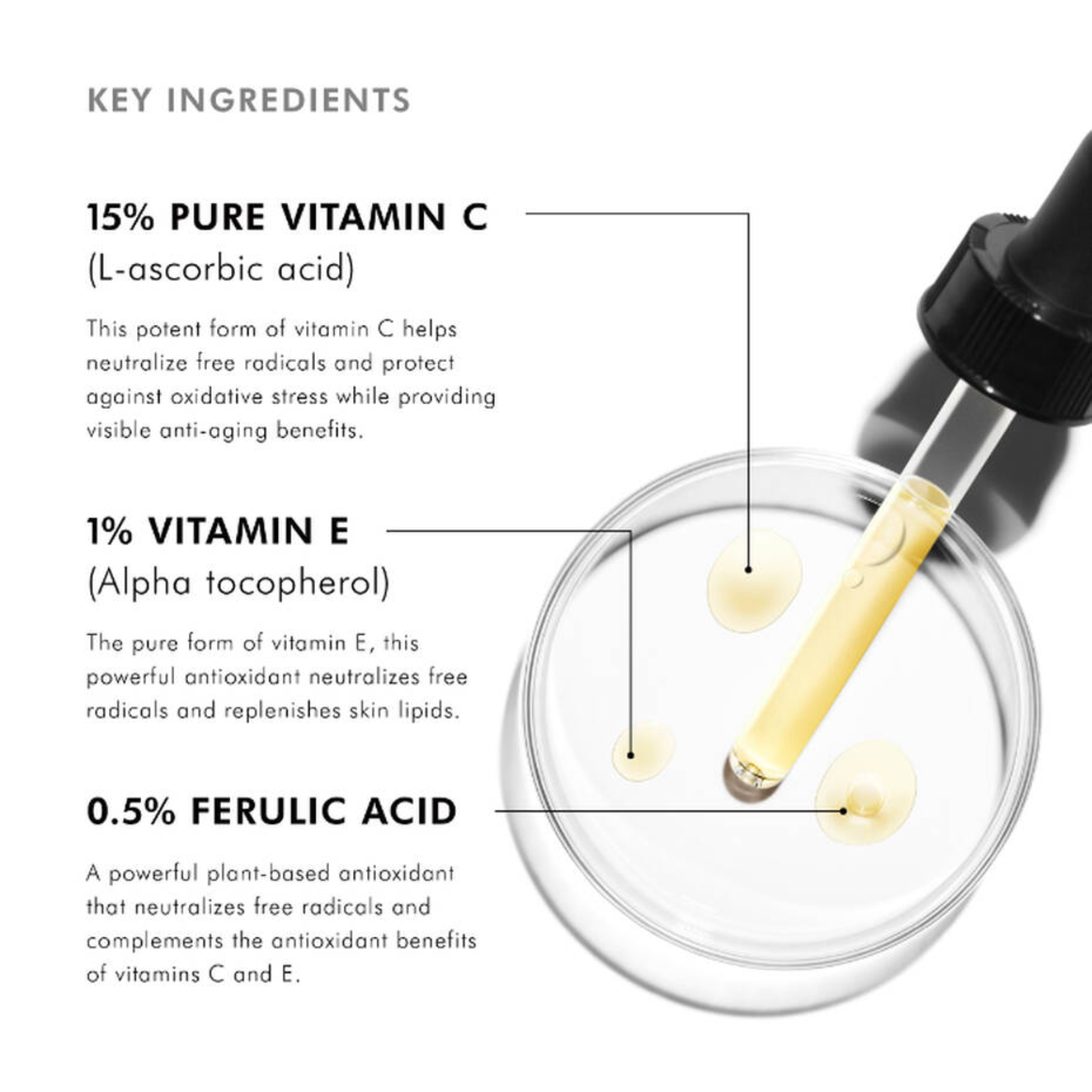 C E Ferulic - Aesthetic Code