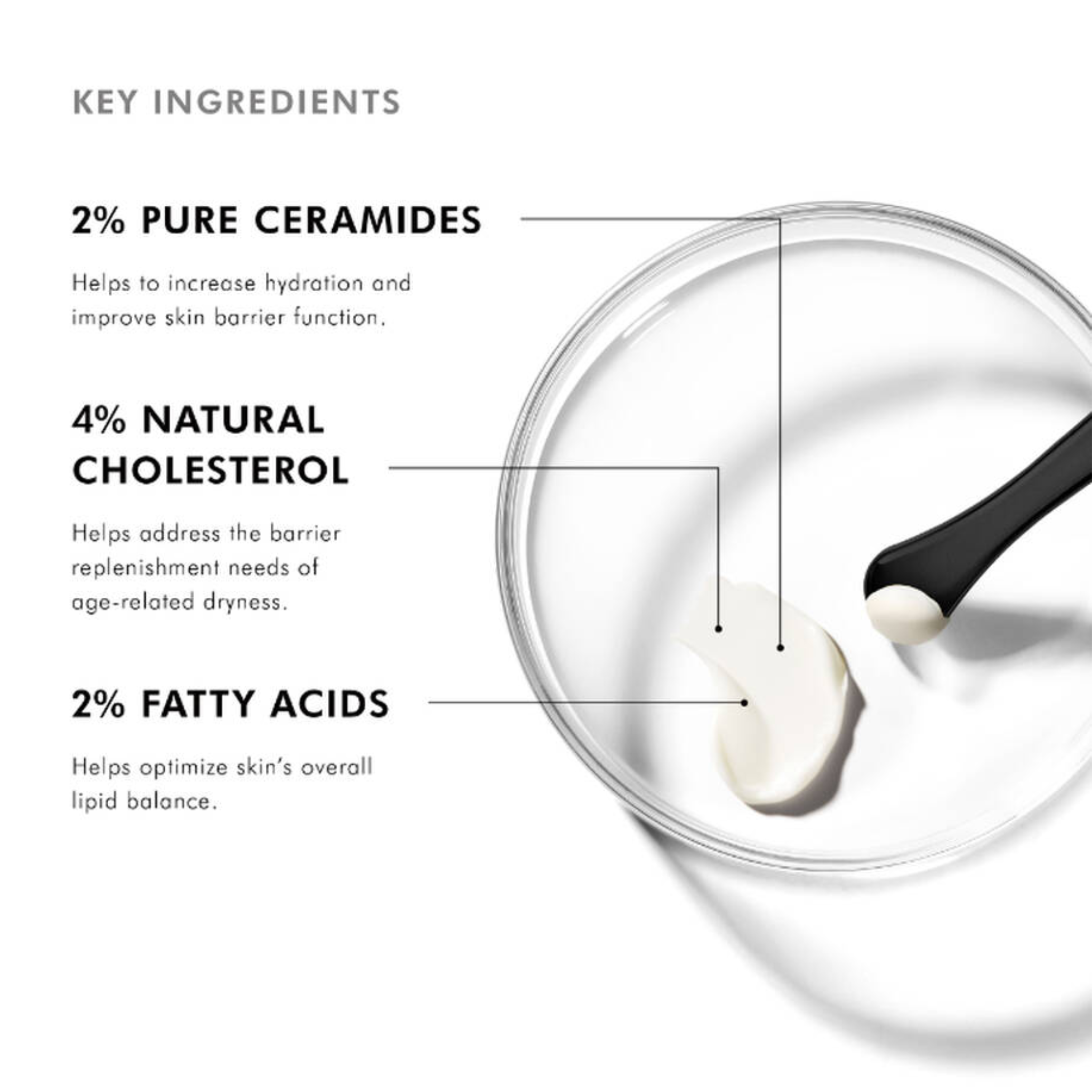 Triple Lipid Restore 242 - Aesthetic Code